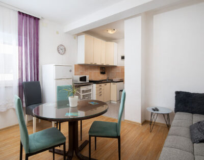 Ferienwohnung Vladimir